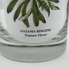 Vintage Botanic Garden Glass Tumbler Set/3-Cyclamen, Gazania & Rosa