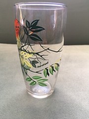 Vintage Parakeet Green, Orange & Yellow Graphic Print Mid Century Drinking Glass