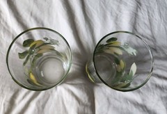 Vintage Royal Norfolk Crisa Lemon Tree Glasses Tumblers Set of 2 1970s 16 Oz
