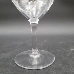 Rare HTF Central Glass Works Floral Trumpets Water Wine Paneled Goblet Glass(es)