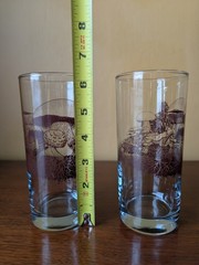 Set Of 2 Down to Earth Basics Glasses Vintage Mushrooms by Marcy Tippmann