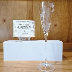 Franklin Mint Les Fleurs de Champagne Crystal Glass Set 12 w/ Cards COA Complete