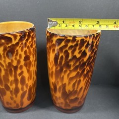 Beautiful Tortoise Shell Glass Tumblr Tall Drinking Glasses Set 2