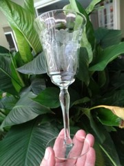 Unknown Maker Gray Cut Flower Leaves Dots 9oz Water Goblet UNK9846 Very Good Con