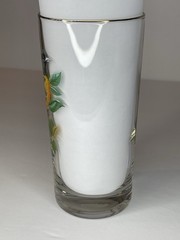 “Baltimore Oriole” Vintage 12oz Flat Tumbler By West Virginia Glass Specialty