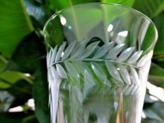 Elegant Clear Grey Cut Laurel Leaf 10 oz Water Goblet Unknown Maker (UNK 9192?)
