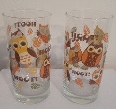 Set of 2 Vintage 70’s Libbey Crisa Hoot Owl Retro Drinking Glasses