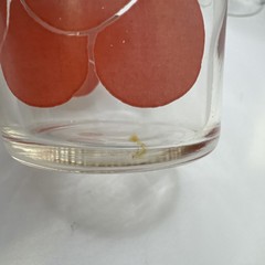Libbey Cherries Swanky Swigs Juice Glasses and Pitcher