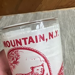 2 Vintage Bear Mountain NEW YORK Hazel Atlas MCM Frosted Glasses Tumbler State