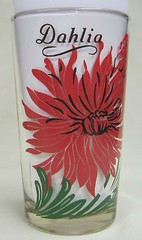 Dahlia 5″ Standard Size Peanut Butter Glass Glasses Drinking Kitchen Mauzy 22-2