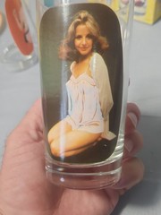 1984 Spencer Gifts Sip ‘N Strip Fantasy Drinking Glasses Set Of 4 w/box Pin-Up