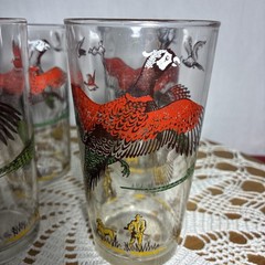 Vintage Pheasant Hunting Scene Drinking Glasses Set of 4 Game Bird Tumblers