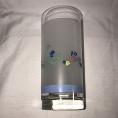 Floral Expressions Frosted Set of Two 16 oz. Glass Tumblers, By Hearthside