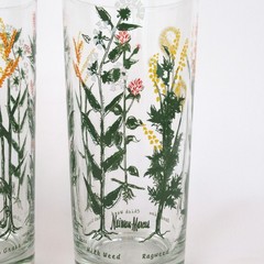 Pair Neiman Marcus weed wildflower drinking glasses clear tall flower botanical