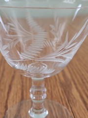 4 – Vintage Etched Glass Floral Fern Leaf Small Stemware Cordial Champagne