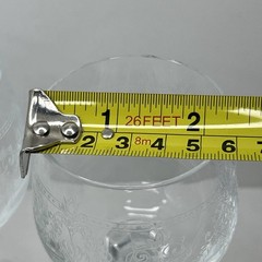 Cristal D’Arques-Durand «Dampierre» Bohemia Crystal Etched Goblet Set 2