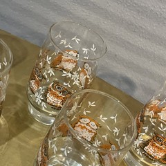 Vtg Set/5 Libbey Clear Drinking Glasses With Orange/Brown/White Painted Owls 5”