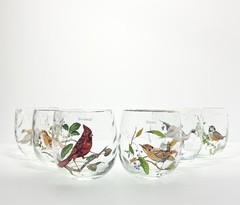 West Virginia Glass American Songbirds 6 Roly-Poly Tumblers Glasses 3 7/8” 16oz