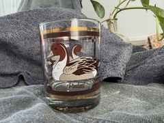 Vtg MCM Libby Pintail Duck brown and gold rim lowball whiskey replacement glass