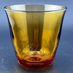 Vereco France Mid Century Honey Amber Ombre Etched Floral Glass Tumbler 4” Vtg