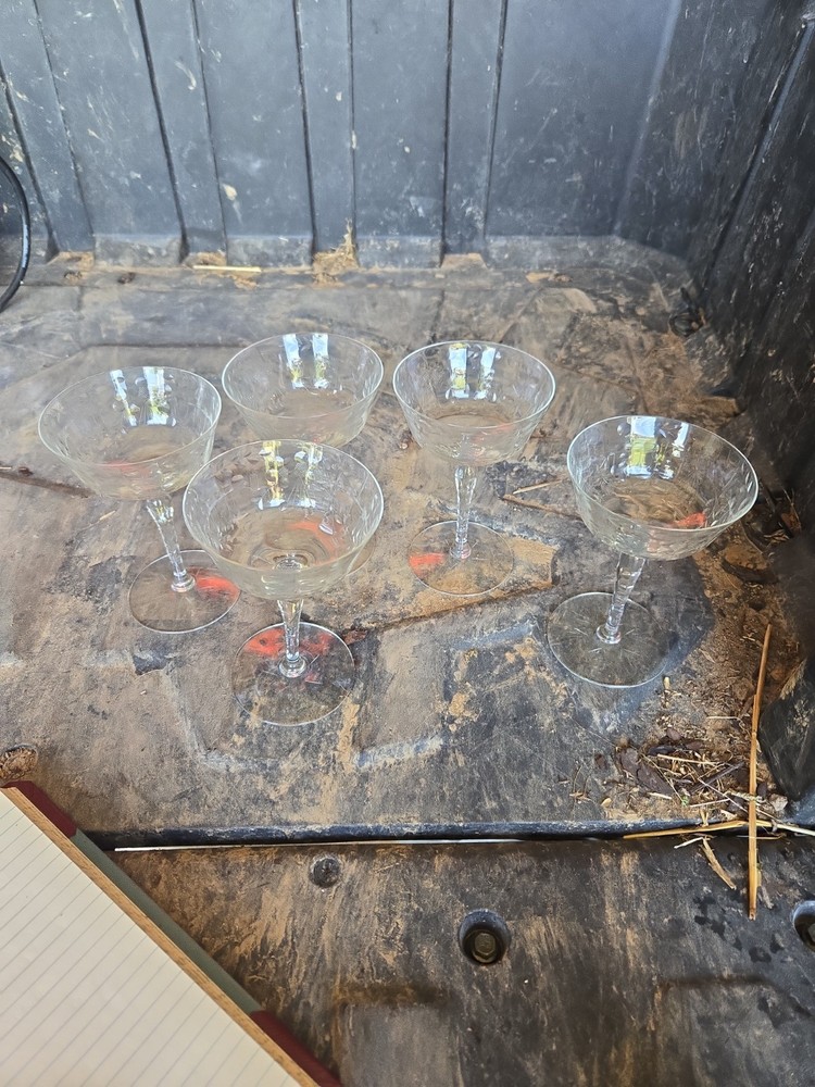 Set of 5 Vintage 60’s Etched Crystal Cocktail Glasses 5.75″ Tall