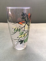 Vintage Parakeet Green, Orange & Yellow Graphic Print Mid Century Drinking Glass