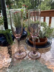 2 Libbey Premiere Pink Champagne Flute Wine Glasses