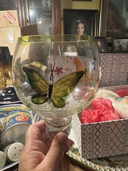 Hand Painted Butterfly Floral Clear Glass Goblet Green Rim 17 oz China
