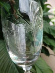 Tiffin Elegant Polished Cut Glass Water Goblet Stem 17453-7 Leafs Plants Pattern