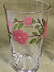 Set of 4 Franciscan Desert Rose Tumbler Drinking Glasses NEW in Original Box