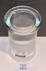 Toscany Etched Crystal Clipper Schooner Ship Highball Glass Vintage Nautical