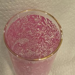 Lily Pulitzer 7 in cocktail glass tropical pink Tom Collins barware