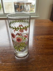 Portmeirion Botanic Garden Pattern 6 1/4″ Tumbler 16OZ
