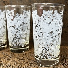 Set of 8 Libbey Garden Lace Glasses Tumblers Clear with White Graphics Birds