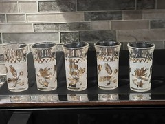 Set of 5 VTG MCM Frosted W/ Gold Tone Floral Bird Design Clear Shot Glasses