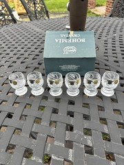 Beautiful Bohemia Czech Republic Lead Crystal Vodka Shot Glasses Set Of 6