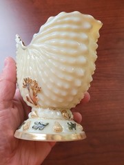 Nice Northwood Custard Glass Nautilus (Argonaut Shell) Hand Painted Spooner