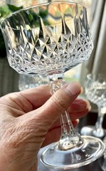 Cristal d’Arques LONGCHAMP Champagne Tall Sherbet Glass * France * MINT