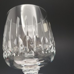 Cristallerie Zwiesel Germany Echt Bleikristall Crystal Wine Glass Replacement