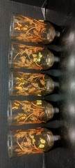 Vintage Set Of 5 Libbey Tawny Smoke Glass Tumblers W/ Butterfly Pattern EUC