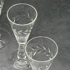 Cambridge Crystal Minton Wreath Etched Cordial Set of 5 Elegant Vintage 5.25″