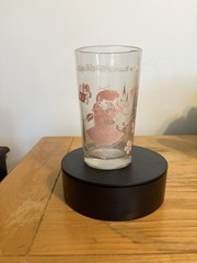 Wizard of Oz Dorothy Decorated Clear Glass Tumbler with Pink Graphics