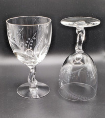 Fostoria Crystal Gray Cut Spring Pattern Water Goblet – set of 2