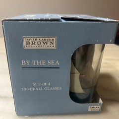 David Carter Brown By The Sea Highball Glass Set Nautical Lighthouse Four-Piece
