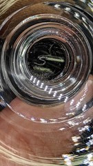 Steuben 7725 Water Goblet Champagne Wine Glass & Shot Glasses American Crystal