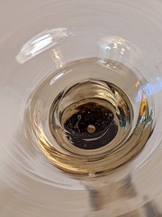 Murano Style Amber Champagne Coupes MCM Unsigned but Gorgeous