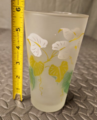 Vintage Libbey Caladium Frosted Tumblers Set of 8 MCM Highball Glassware
