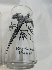2 VTG MCM «SPORTSMAN» Federal Glass Game Birds 12oz Tumblers: Ring Neck Pheasant