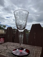 Ruby Red Clear Etched Floral And Leaf Design Vintage Cordial Glasses Set Of 6