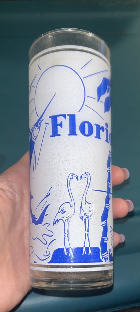 Vintage Unbranded Frosted Souvenir Tumbler FLORIDA SUNSHINE STATE